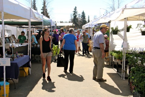 People walking down the isle of an outdoor farmer's market