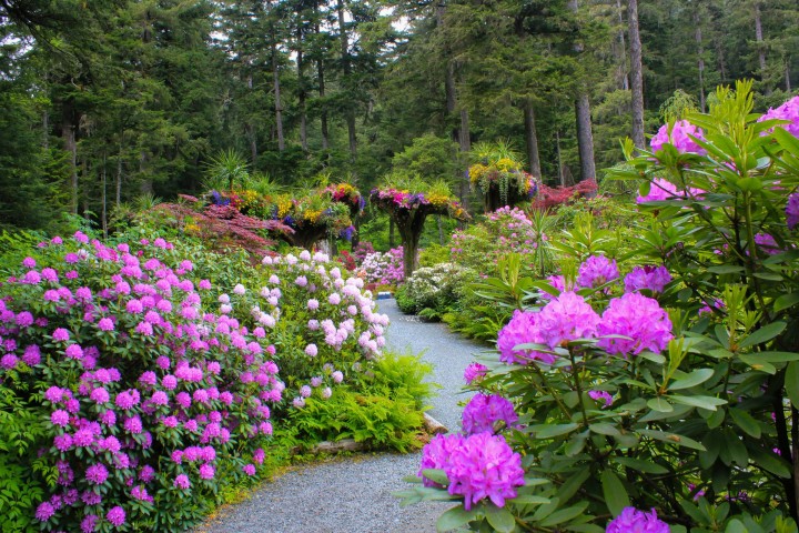 Glacier Gardens Rainforest Adventure 2017 6 June