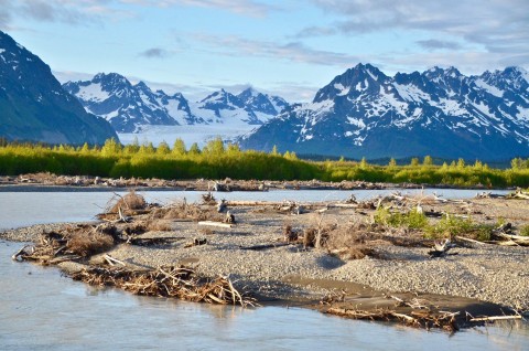 Copper River Highway Sheridan Glacier Background Wendy Ranney
