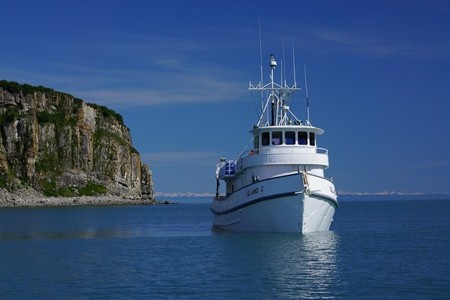 Imagine seeing whales, glaciers, bears and more- from the comfort of a private yacht