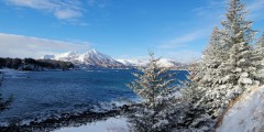 The Top One-Day And Afternoon Scenic Drives In Alaska | ALASKA.ORG