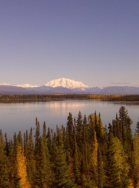Try salmon fishing at Copper River