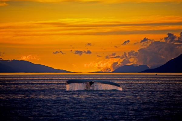 alaska-weather-daylight-hours