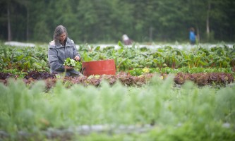 Alaska Farm Tours | Day Trips from Anchorage | ALASKA.ORG