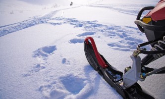 Alaska Wildlife Guide | Snowmobiling in North Pole ...