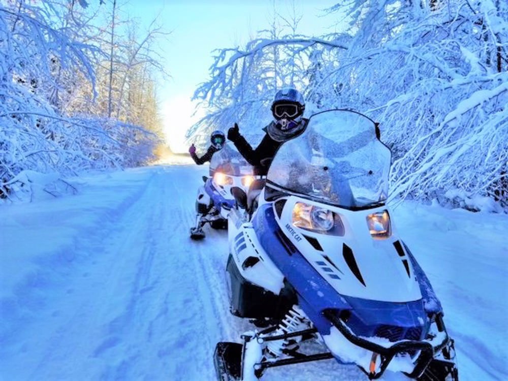 Alaska Wildlife Guide | Snowmobiling in North Pole ...