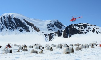 Alpine Air Alaska Glacier Dogsledding | ALASKA.ORG