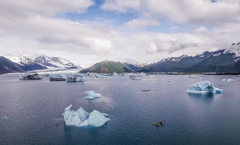 Paddle around massive icebergs that have calved from Bear Glacier on a half or full day trip.