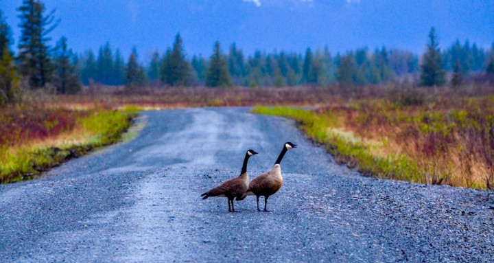 Photo by Wendy Ranney