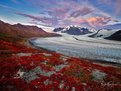 Red tundra above a glacier in Alaska in September