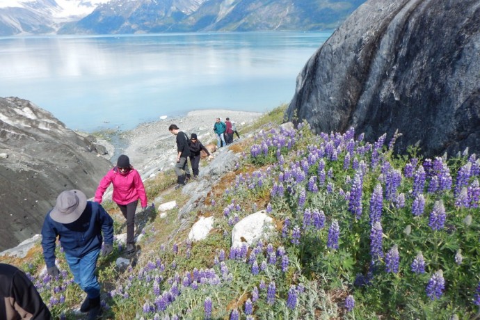 cruise-glacier-bay-with-uncruise-adventures