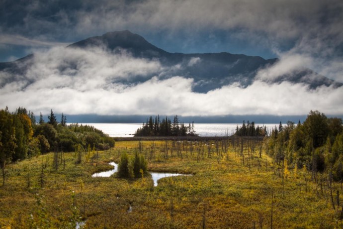 bird-creek-campground-turnagain-arm-chugach-state-park