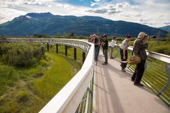 alaska-wildlife-conservation-center