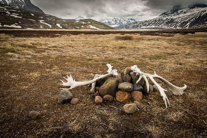 skolai-pass-wrangell-st-elias-national-park