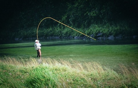 Fly-in fishing