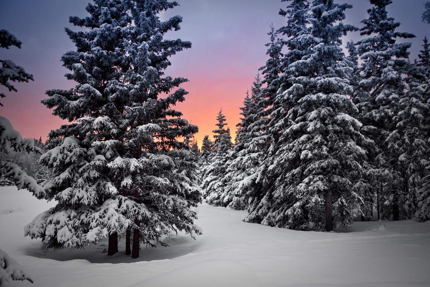 Winter sunset in Alaska