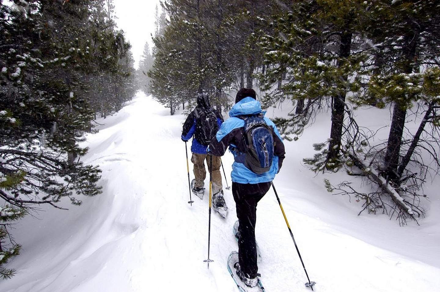 Rent snowshoes from Outdoor Gear Rental