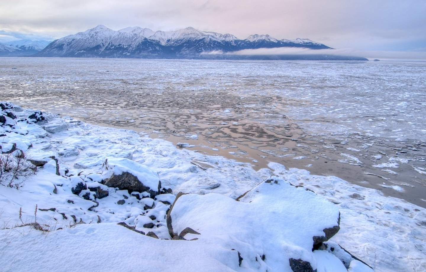 Snow on Turnagain Arm