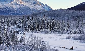 Alaska in march eagle river chugach mountains dog mushers ed boudreau Ed Boudreau