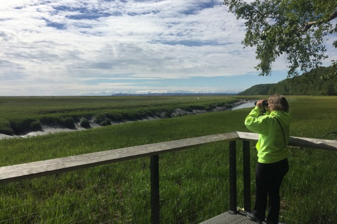 Campbell-creek-estuary-natural-area