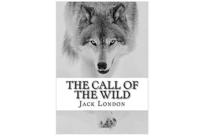 Best books to read on alaska the call of the wild