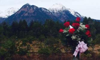 Alaska weddings roses heather chandler Heather Chandler