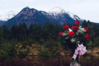 Alaska weddings roses heather chandler Heather Chandler