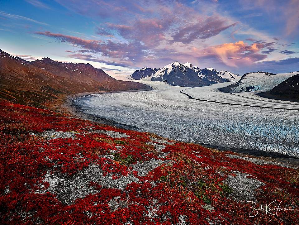Red tundra above a glacier in Alaska in September