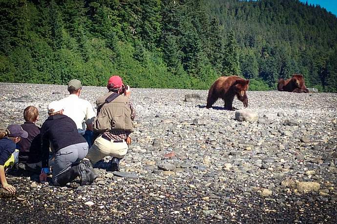 explore-the-pack-creek-bear-sanctuary-pack-creek-bear-tours