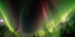 northern-lights-in-fairbanks-Flickr-Mike
