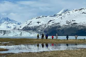 IMG 20072025alaska org untitled