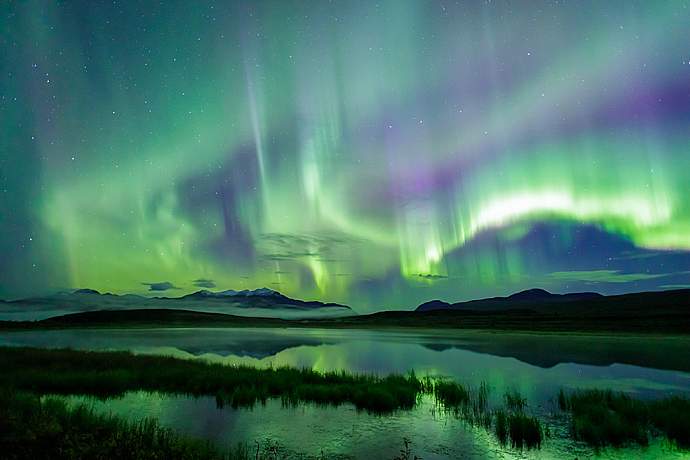 Multiday Photo Tours 2024 Denali Highway Tundra Fall Colorsalaska org untitled