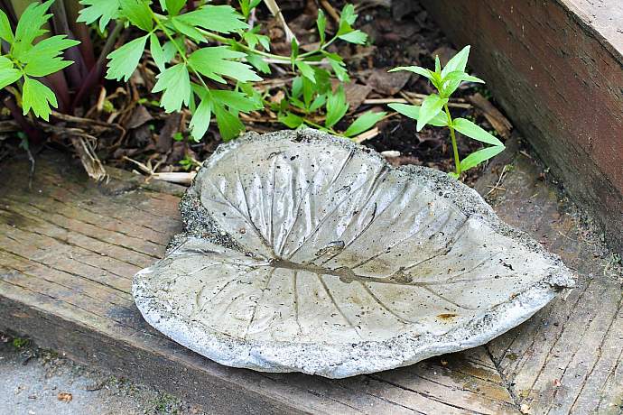 Alaska botanical garden art 3