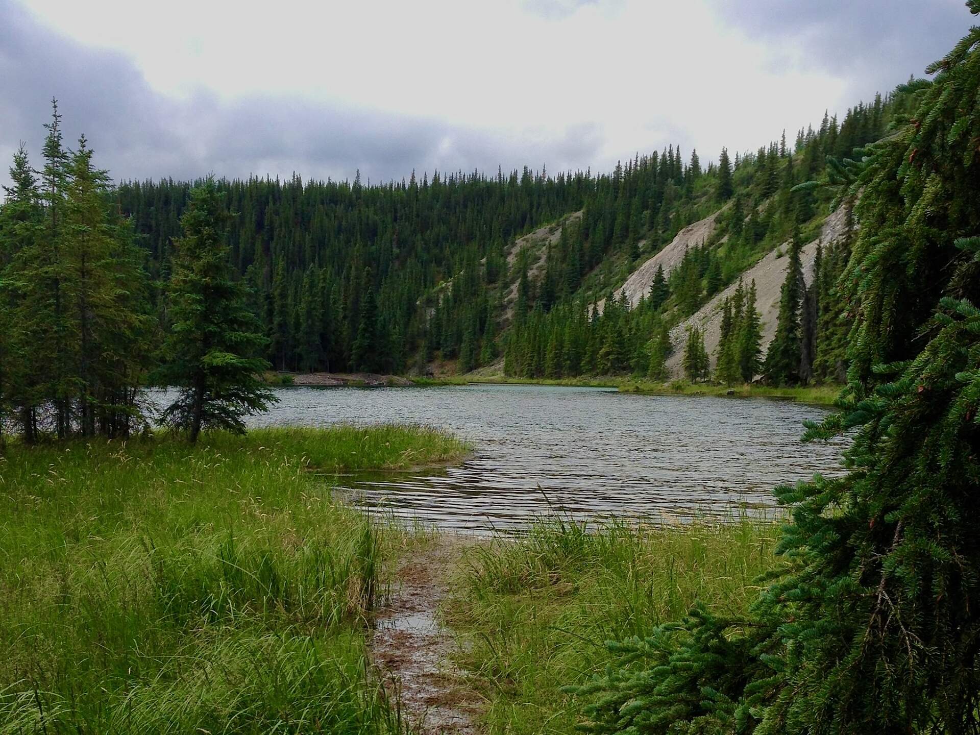 Horseshoe Lake Trail, Denali