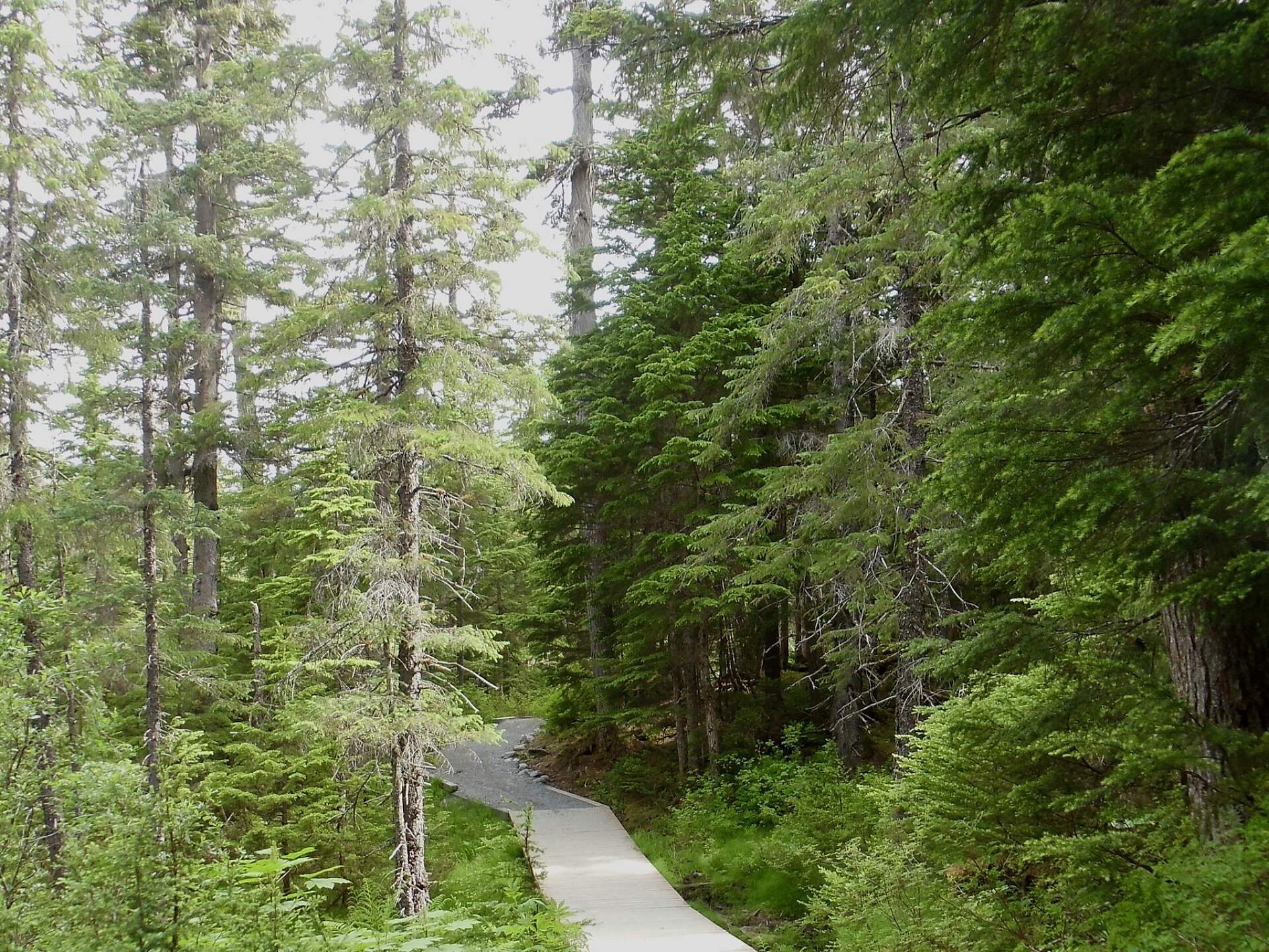 Winner Creek Trail, Girdwood