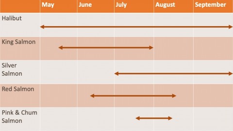 This chart shows when you can catch different species of salmon, as well as halibut in Alaska