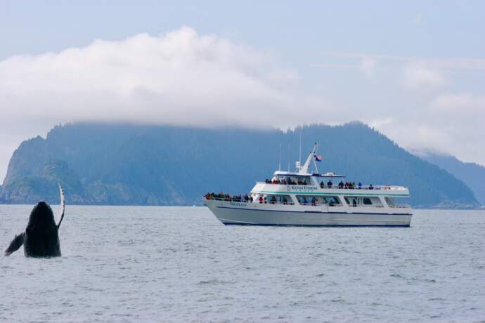 SEWARD KFT Banner Image