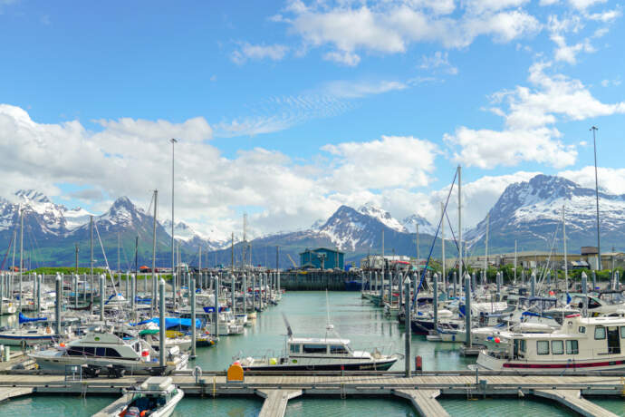 VALDEZ harbor raw