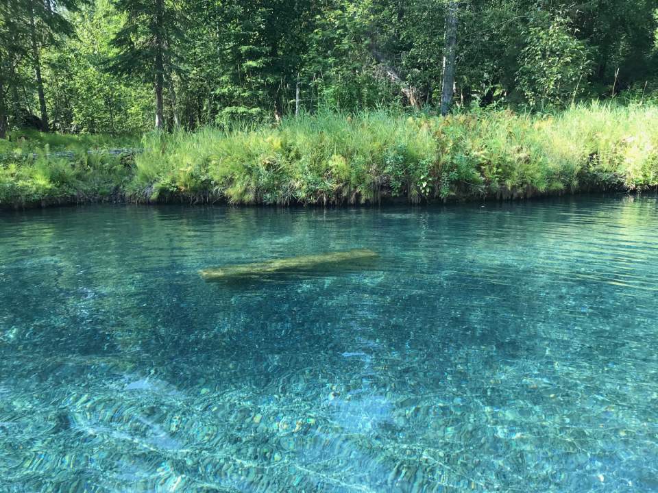 A bench submerged beneath the water at Liard Hot Springs