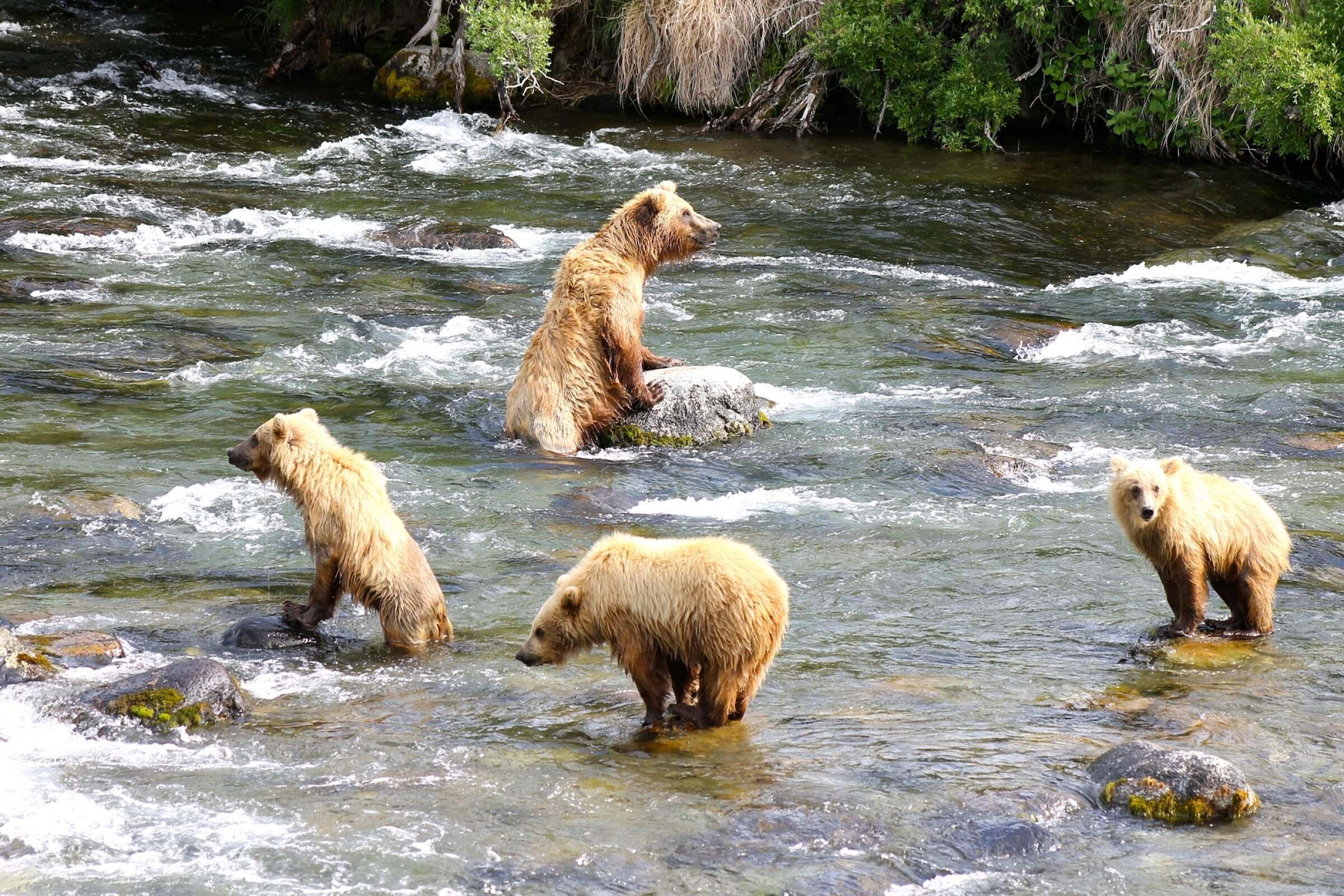 Katmai National Park, Trail Ridge Air