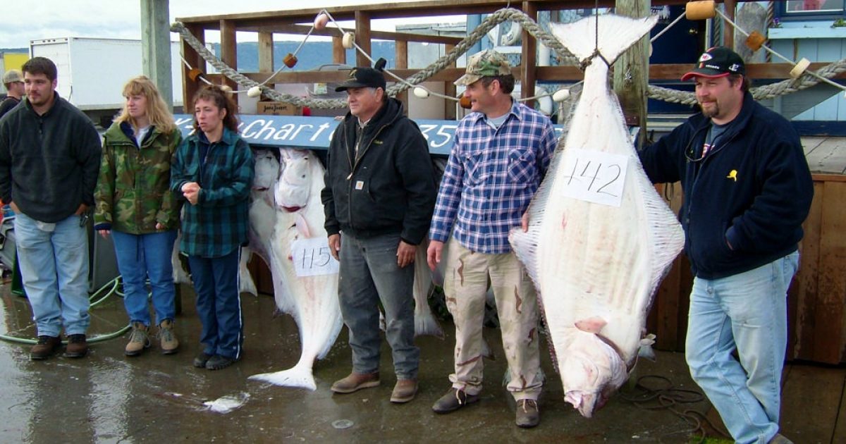 Anchorage Halibut Charters | Homer vs Seward | ALASKA.ORG