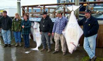 Anchorage halibut charters seward vs homer Homer June 04 006 Alaska Channel