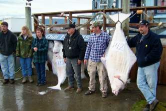 Anchorage halibut charters seward vs homer Homer June 04 006 Alaska Channel