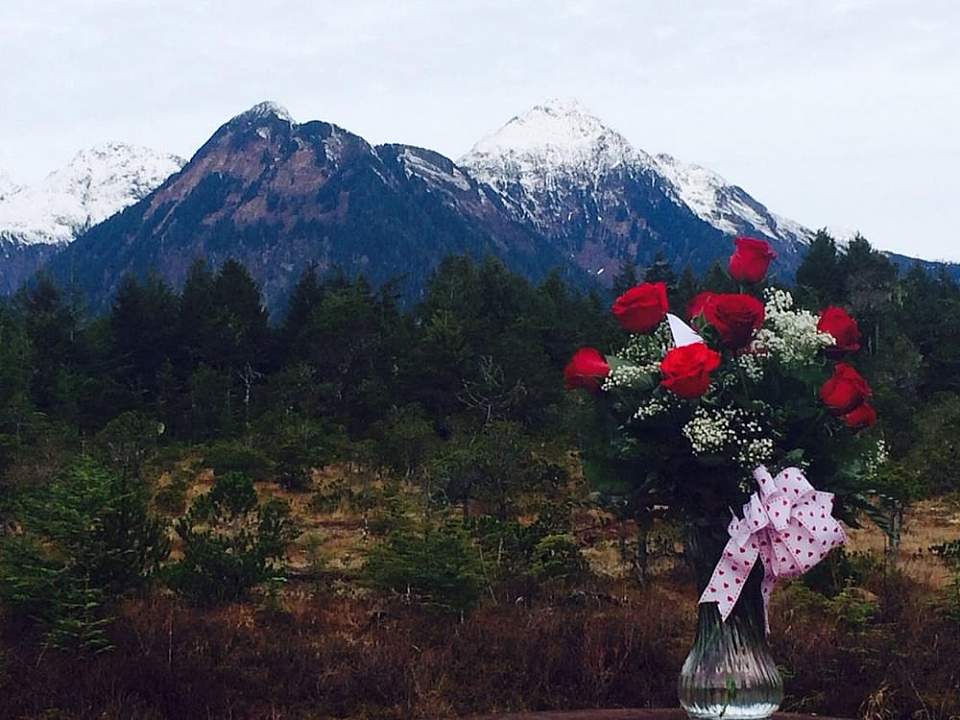 If you love gorgeous scenery, an Alaskan honeymoon may be perfect for you.
