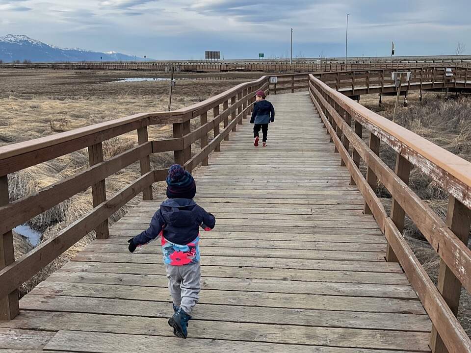 Kids run down the Boardwalk at Potter Marsh