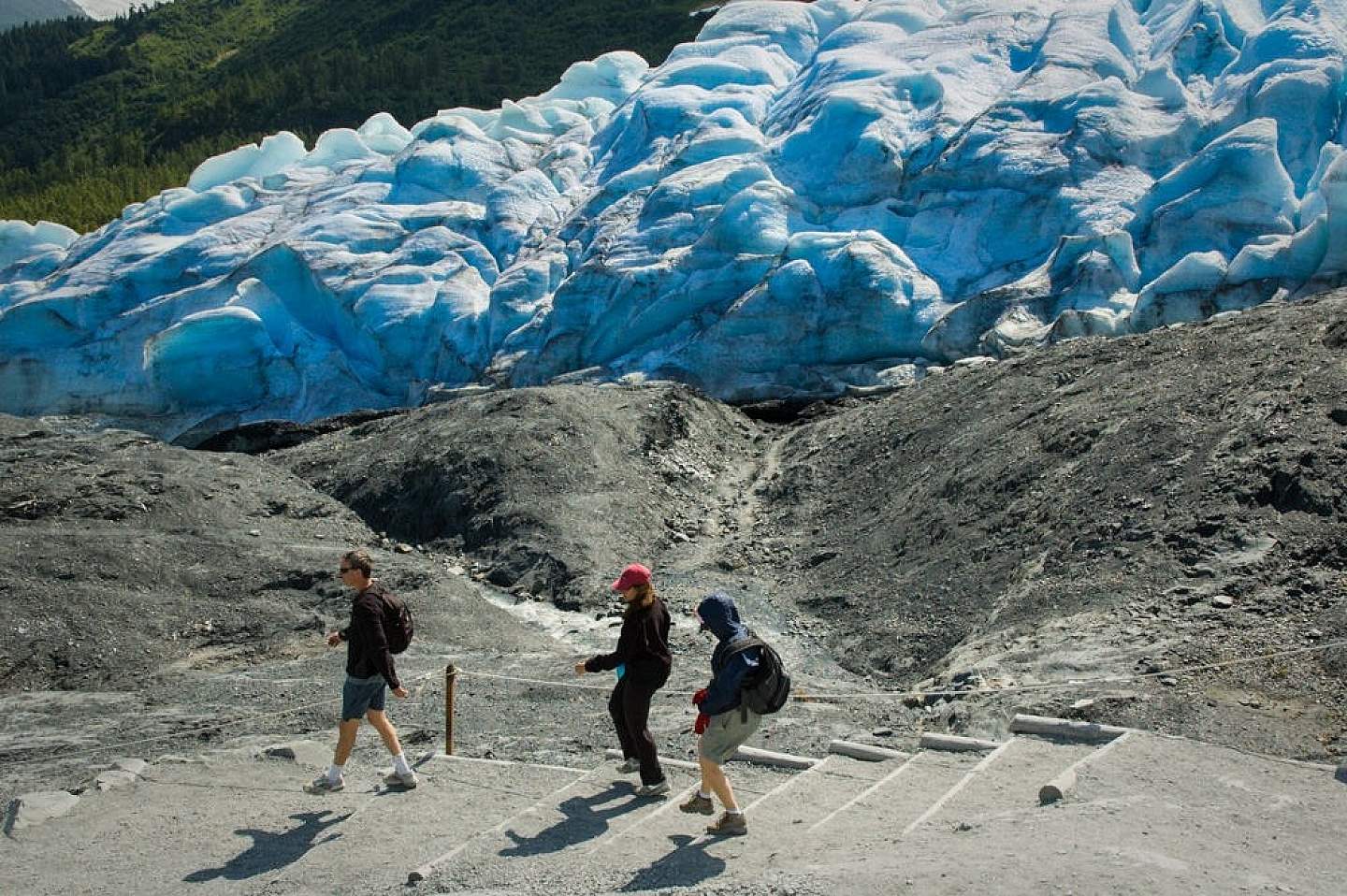 Walk up to a glacier at Exit Glacier Trail