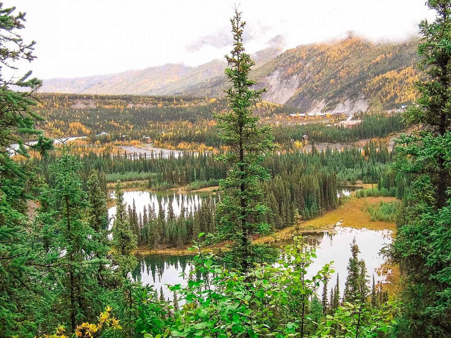 Hike Horseshoe Lake Trail