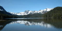 Salmon Viewing at McKinley Lake