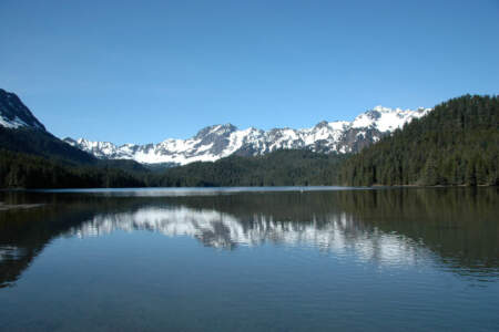 Salmon Viewing at McKinley Lake