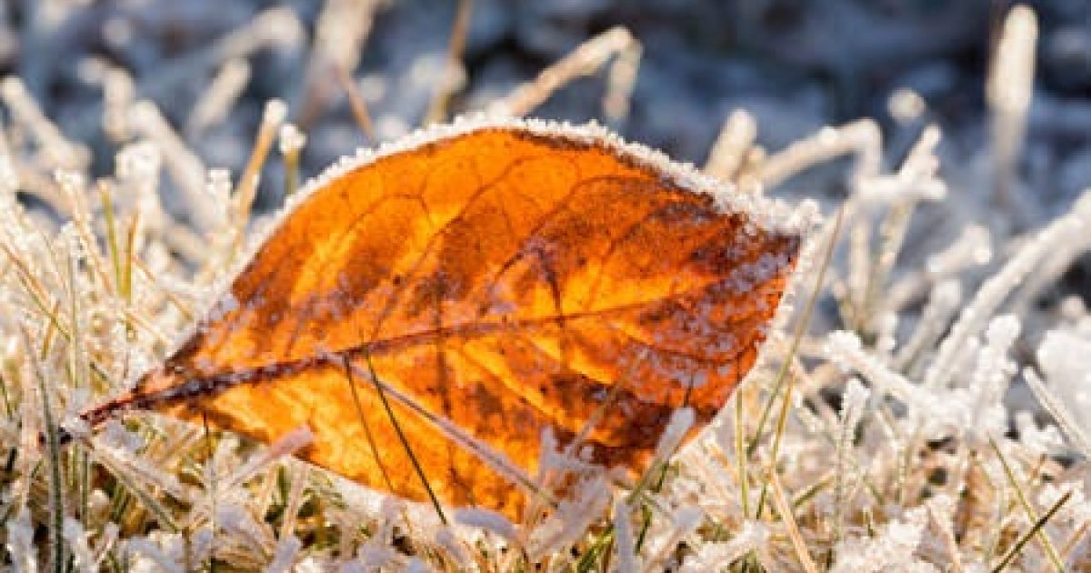 Alaska in November Things to Do and Places to See